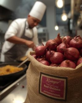 Premium Indian Red Onions – Nashik Maharashtra | 25 KG Bag | Rainger International