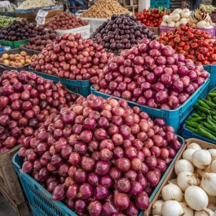 Rainger International – premium red onions, indian red onions, red onion exporters in india, red onion exporters in nashik, red onion exporters in maharashtra, red onion exporters, red onion exporters in kerala, red onion exporters in tamilnadu, red onion exporters from india, red onion exporters from kerala, red onion exporters in mumbai, red onion exporters from mumbai, red onion exporters from tamilnadu, rainger ventures, rainger india, International trade, International Trade Company, International trade Company India, exporters from india, exporters from mumbai, exporters from pune, exporters from gujarat, exporters from kerala, export import company, import export company India, import export companies in India, import export company in Mumbai, import export company in Pune, import export company in Nagpur, import export company in Kerala, import export company in Delhi, import export companies in Aurangabad, import export company near me, import export company in Nashik, import export company in Ahmedabad, import export company in Delhi, import export company in Rajasthan, import export companies in Gujarat, export import company, export import company India, export import companies in India, export import company in Mumbai, export import company in Pune, export import company in Nagpur, export import company in Kerala, export import company in Delhi, export import companies in Aurangabad, export import company near me, export import company in Nashik, export import company in Delhi, export import company in Ahmedabad, export import company in Rajasthan, export import companies in Gujarat, global sourcing company chennai, global sourcing company mumbai, global sourcing company in india, international trading company, international trading company mumbai, international trading company in india, international trading company in delhi, international trading company in gujarat, international trading company in kerala, export company in India, export company in mumbai, export company in pune, import export business in india, import export business in mumbai, B2B global trade, B2B international trade, global trade company in india, global trade company in delhi, global trade company in mumbai, best sourcing company in India, product sourcing company in India, global sourcing company in India, international trade services in mumbai, import export consultancy services india, import export services in india, import export service provider in india, import export service provider, export import services India, global sourcing services, global sourcing companies in india, cross border trade services, global supply chain company, global supply chain companies in india, procurement companies India, top procurement company in India, export business India, export company India, international logistics and trade, B2B sourcing companies in india, B2B procurement company, wholesale export company in india, wholesale exporters in india, international trade company in India for export import, global sourcing company for B2B buyers, export import services company in India, cross border trade execution services, international sourcing and procurement company, reliable export company from India, B2B import export solutions provider, global supplier sourcing company India, international trade partner for importers, structured international trade company, international trade, export import, global sourcing, B2B trade, sourcing India, cross border trade, international business – RaingerInternational.com