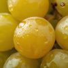 Rainger International – Thompson Seedless Grapes, Thompson Seedless Grapes exporters in india, Thompson Seedless Grapes exporters in maharashtra, Thompson Seedless Grapes exporters in mumbai, Thompson Seedless Grapes exporters in nashik, Thompson Seedless Grapes exporters from india, Thompson Seedless Grapes exporters from maharashtra, Thompson Seedless Grapes exporters from mumbai, Thompson Seedless Grapes exporters from nashik, Seedless Grapes exporters in india, Seedless Grapes exporters in maharashtra, Seedless Grapes exporters in mumbai, Seedless Grapes exporters in nashik, Grapes exporters in india, Grapes exporters in sangli, Grapes exporters in mumbai, Grapes exporters in maharashtra, Grapes exporters in nashik, Grapes exporters in maharashtra, Grapes exporters in Gujarat, Grapes exporters in Bangalore, Grapes exporters from Bangalore, rainger ventures, rainger india, International trade, International Trade Company, International trade Company India, exporters from india, exporters from mumbai, exporters from pune, exporters from gujarat, exporters from kerala, export import company, import export company India, import export companies in India, import export company in Mumbai, import export company in Pune, import export company in Nagpur, import export company in Kerala, import export company in Delhi, import export companies in Aurangabad, import export company near me, import export company in Nashik, import export company in Ahmedabad, import export company in Delhi, import export company in Rajasthan, import export companies in Gujarat, export import company, export import company India, export import companies in India, export import company in Mumbai, export import company in Pune, export import company in Nagpur, export import company in Kerala, export import company in Delhi, export import companies in Aurangabad, export import company near me, export import company in Nashik, export import company in Delhi, export import company in Ahmedabad, export import company in Rajasthan, export import companies in Gujarat, global sourcing company chennai, global sourcing company mumbai, global sourcing company in india, international trading company, international trading company mumbai, international trading company in india, international trading company in delhi, international trading company in gujarat, international trading company in kerala, export company in India, export company in mumbai, export company in pune, import export business in india, import export business in mumbai, B2B global trade, B2B international trade, global trade company in india, global trade company in delhi, global trade company in mumbai, best sourcing company in India, product sourcing company in India, global sourcing company in India, international trade services in mumbai, import export consultancy services india, import export services in india, import export service provider in india, import export service provider, export import services India, global sourcing services, global sourcing companies in india, cross border trade services, global supply chain company, global supply chain companies in india, procurement companies India, top procurement company in India, export business India, export company India, international logistics and trade, B2B sourcing companies in india, B2B procurement company, wholesale export company in india, wholesale exporters in india, international trade company in India for export import, global sourcing company for B2B buyers, export import services company in India, cross border trade execution services, international sourcing and procurement company, reliable export company from India, B2B import export solutions provider, global supplier sourcing company India, international trade partner for importers, structured international trade company, international trade, export import, global sourcing, B2B trade, sourcing India, cross border trade, international business – RaingerInternational.com